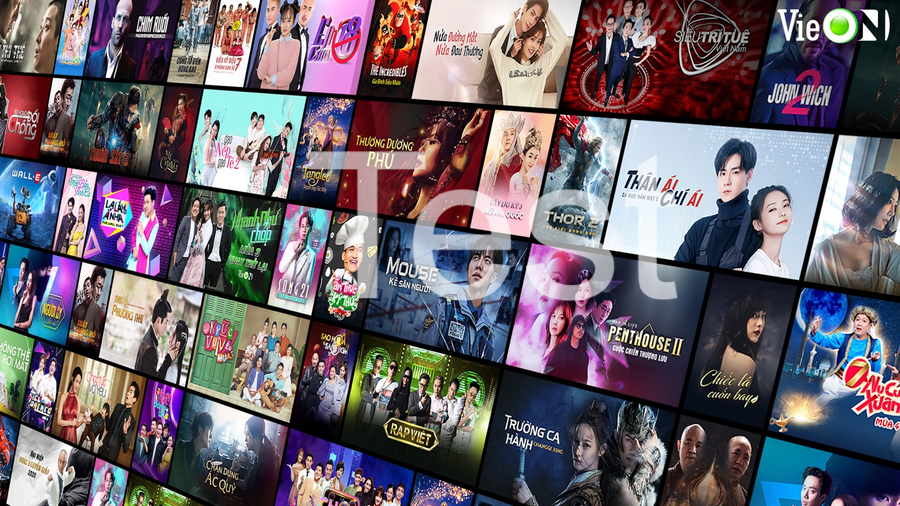 DatVietVAC Group Holdings